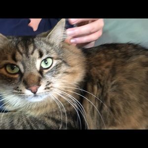 Meet your Posher, Christy